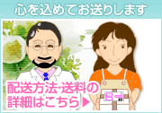 配送方法･送料はこちら！