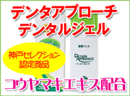 デンタアプローチ デンタルジェル・ファミリーサイズ